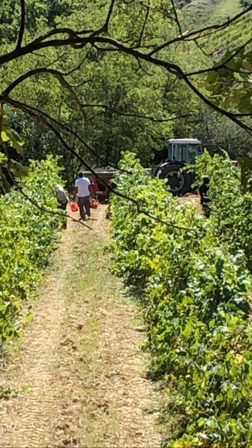 Podere Ghiole Montespertoli Exterior foto
